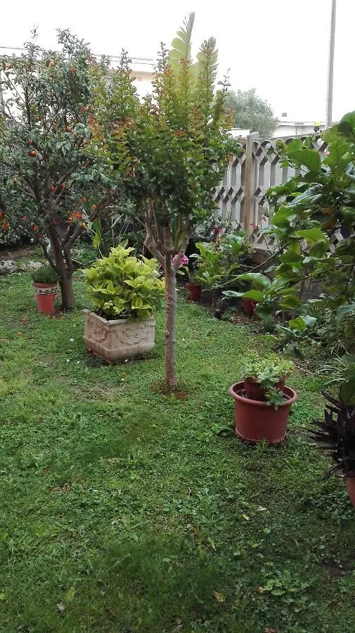 Nocleg ze śniadaniem B&B Melody Fiumicino Włochy
